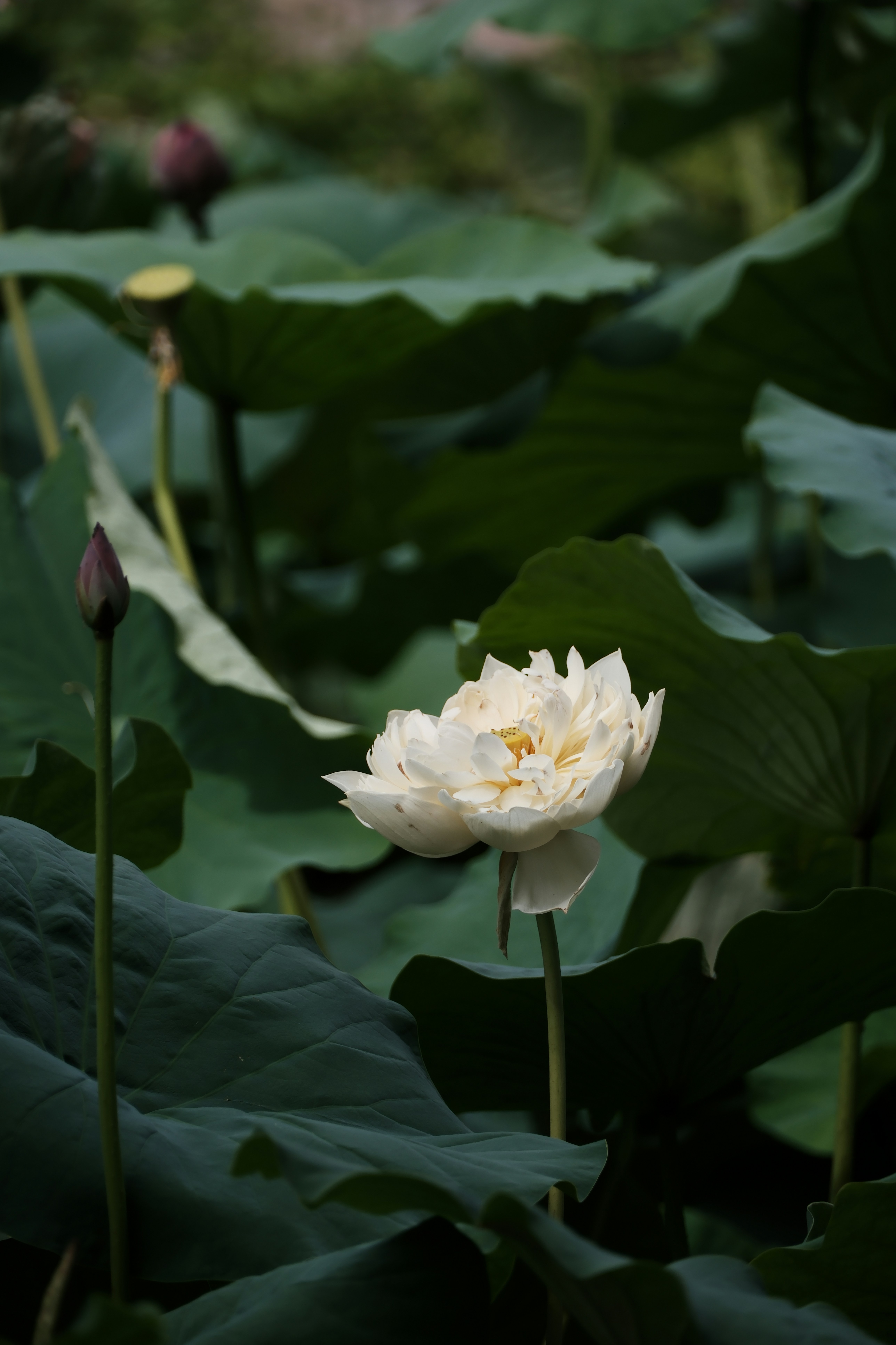 How Virtual Reality Can Help MS Patients with Arm Function