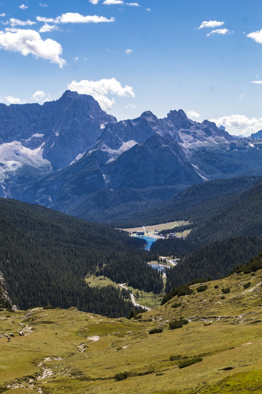 a view of a valley with mountains in the background