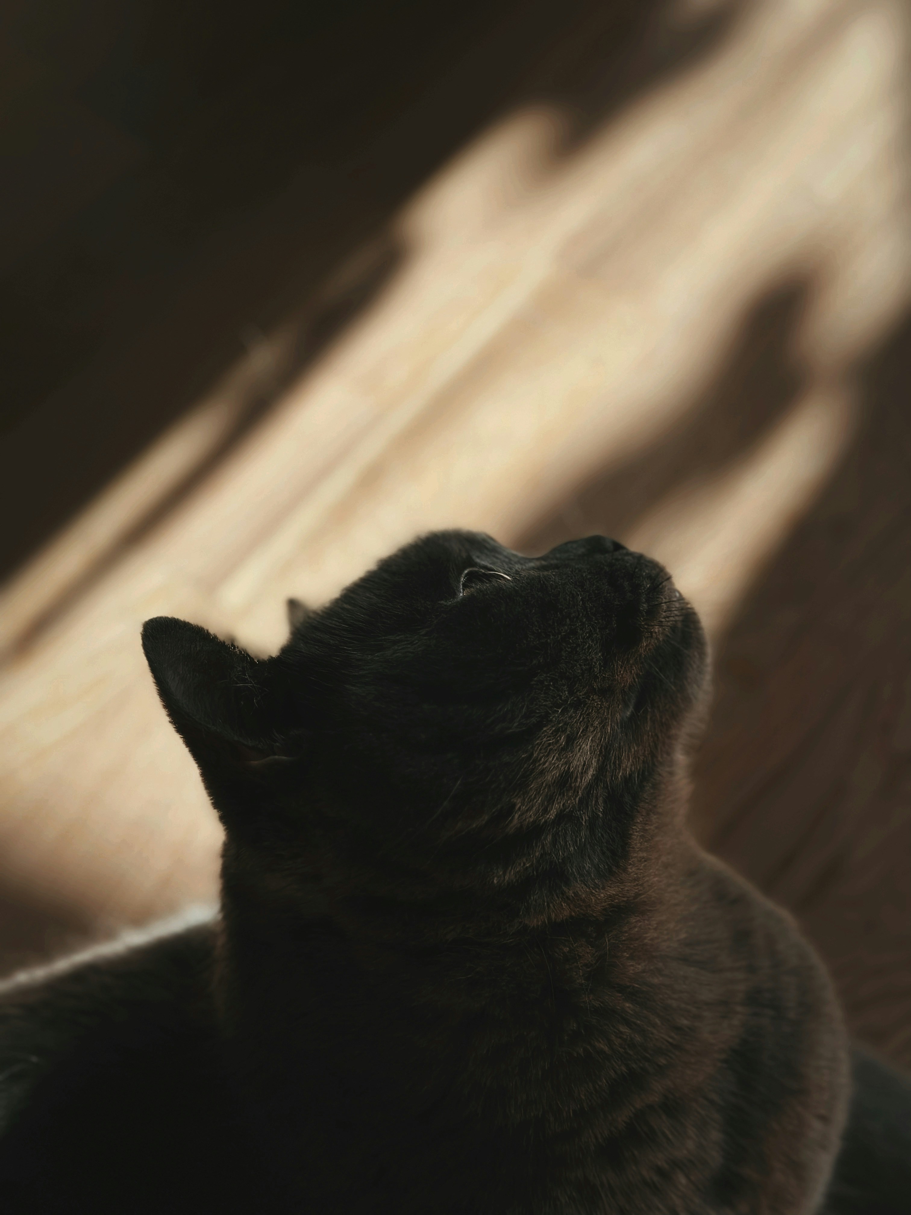 Photo by alexandraleru