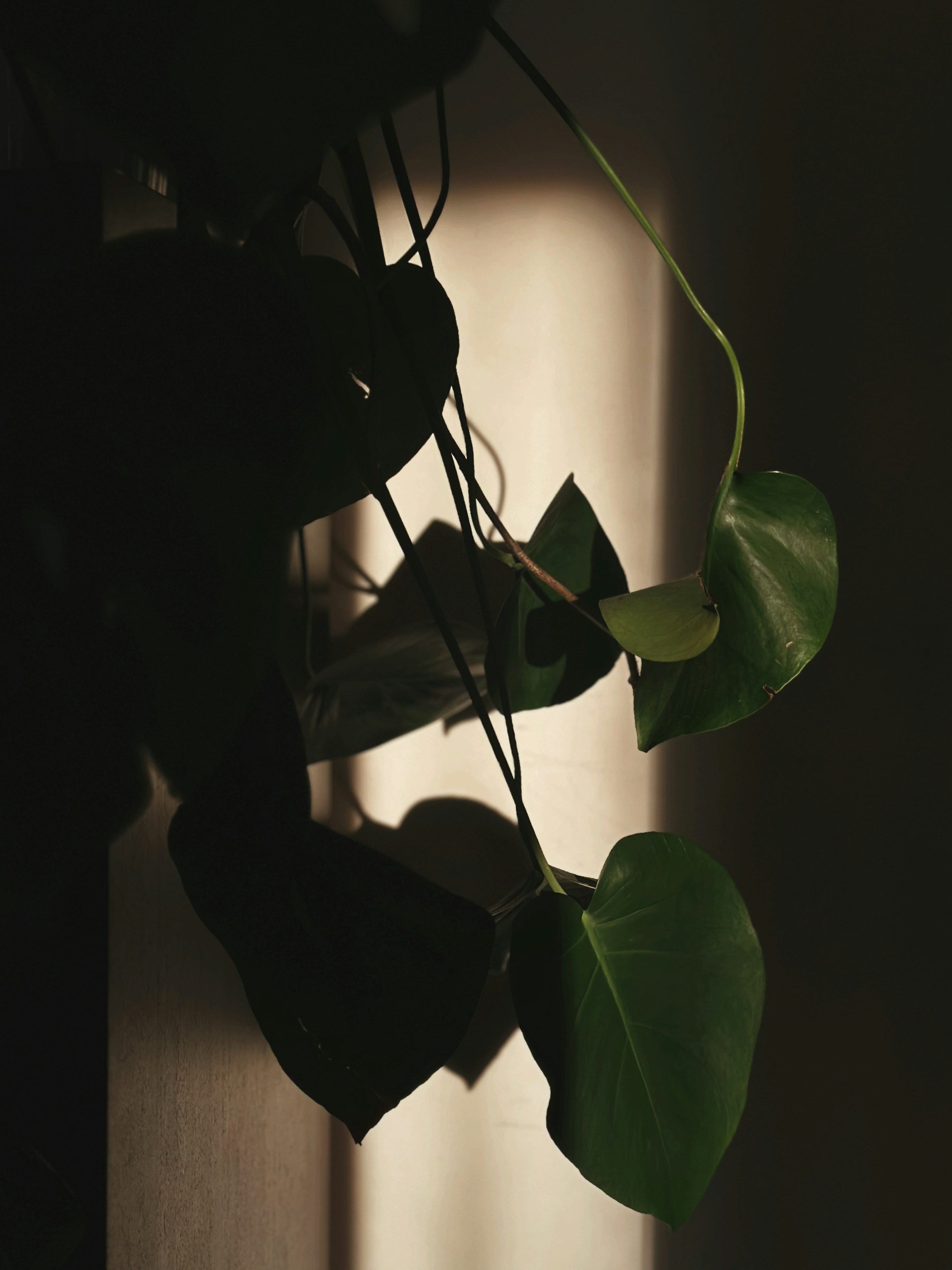 Photo by alexandraleru