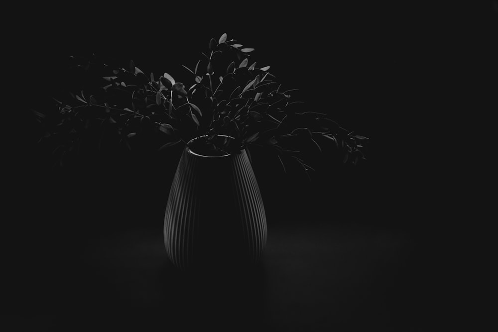 a black and white photo of a vase with flowers in it