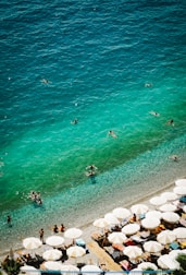 A vibrant beach scene with people snorkeling and clear blue ocean water.