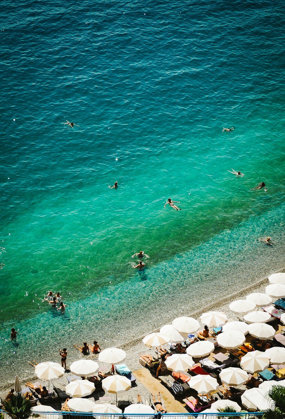 a group of people swimming in the ocean