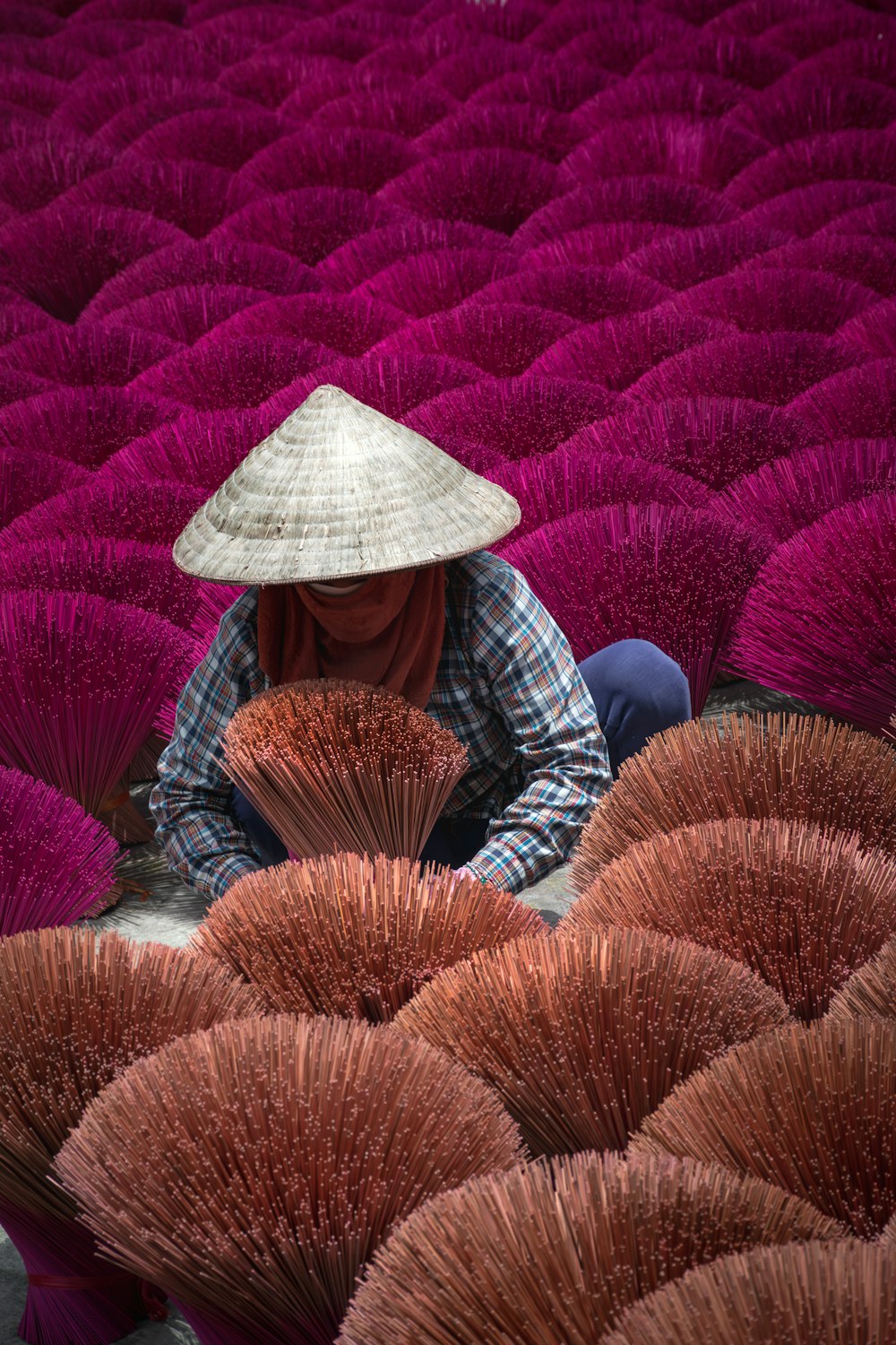 a person kneeling down in a field of purple grass