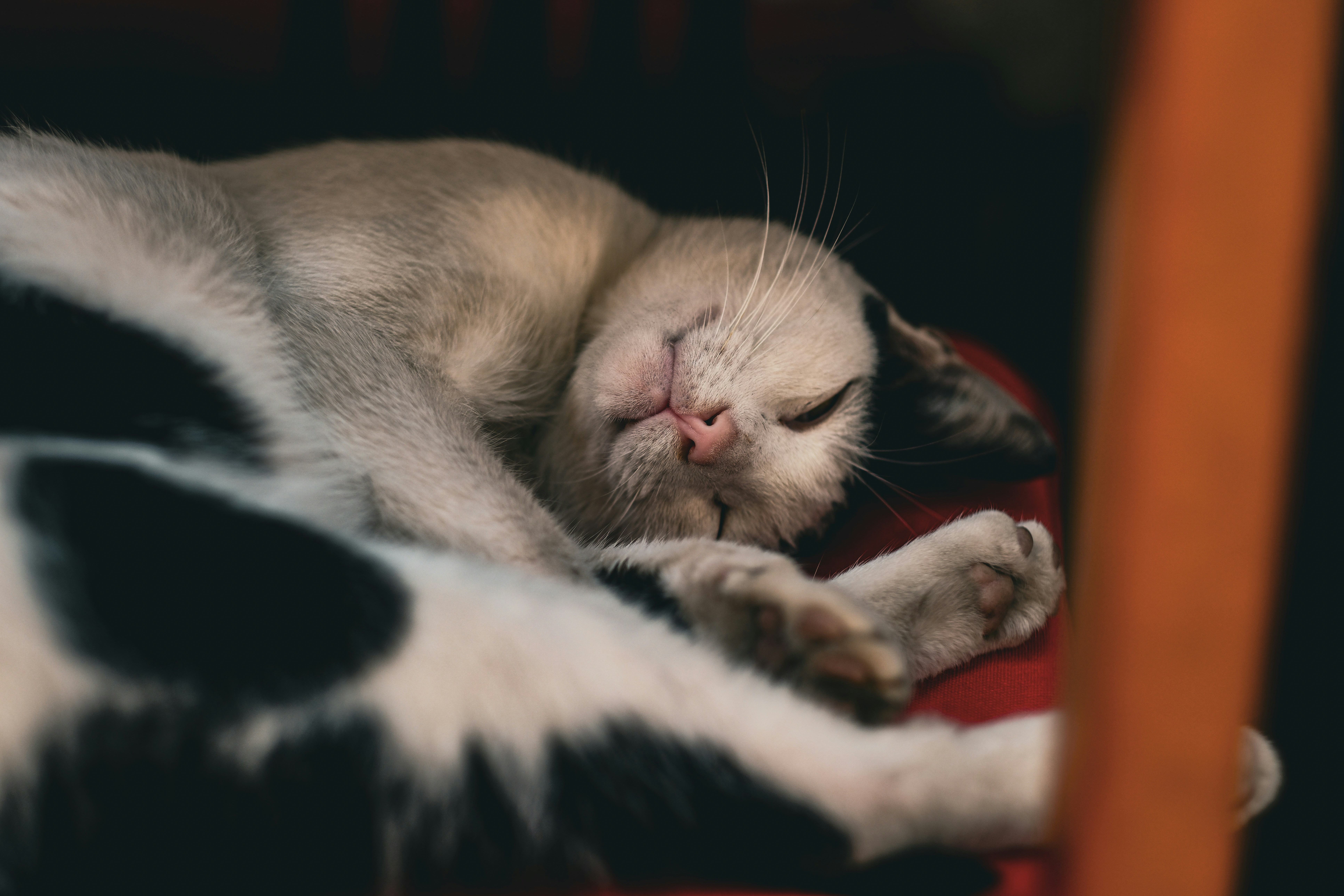 Photo by alperenbozkurtfilm