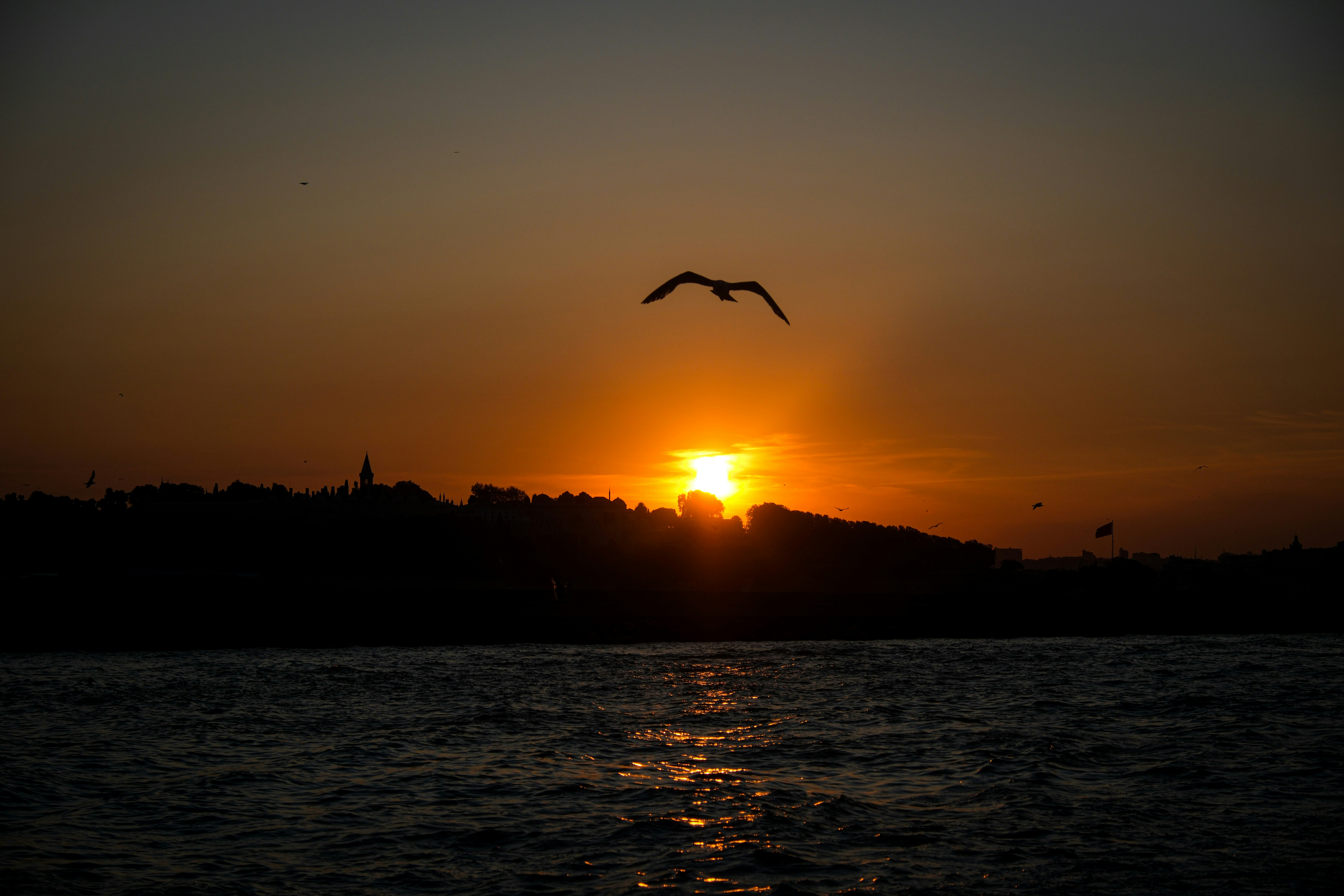 a bird flying over a body of water at sunset