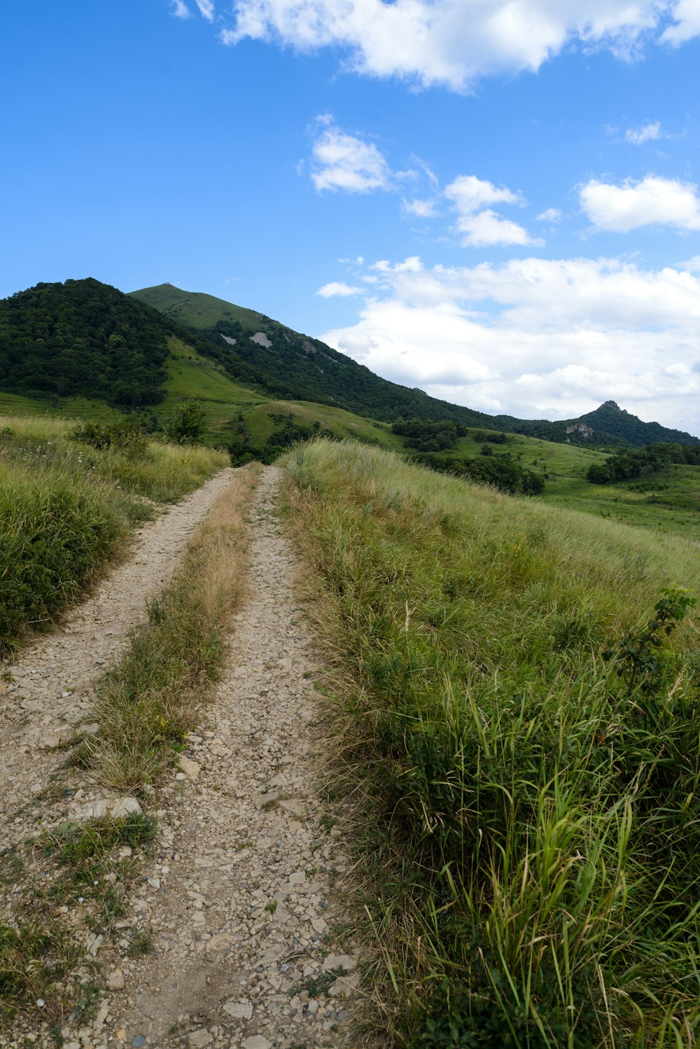 a dirt road in the middle of a grassy field