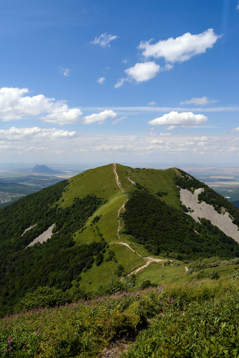 a grassy hill with a dirt road going up it