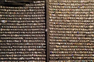 A vibrant display of rings on a decorative stand.