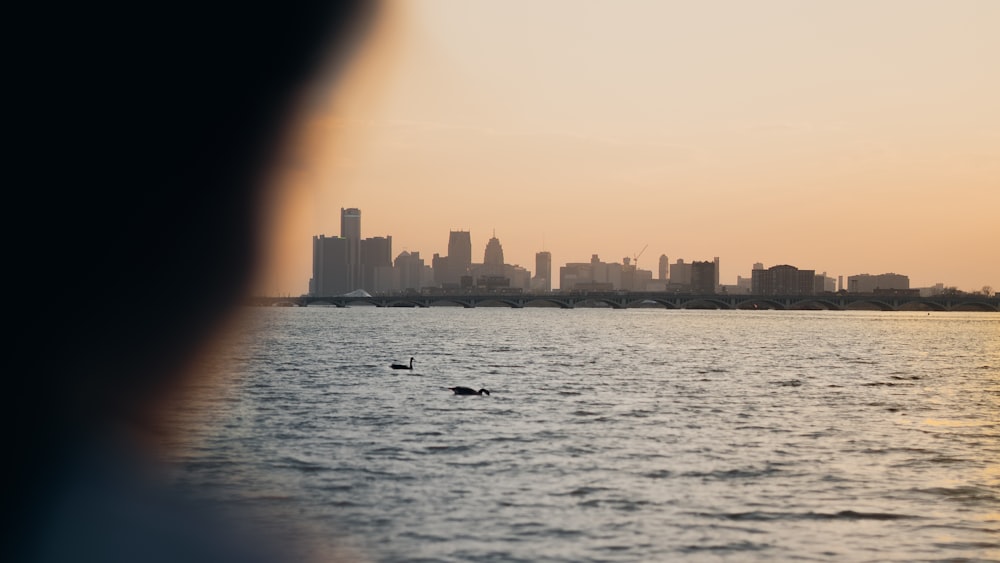 a view of a city from across a body of water