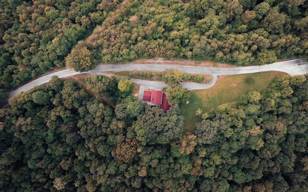 an aerial view of a road in the middle of a forest