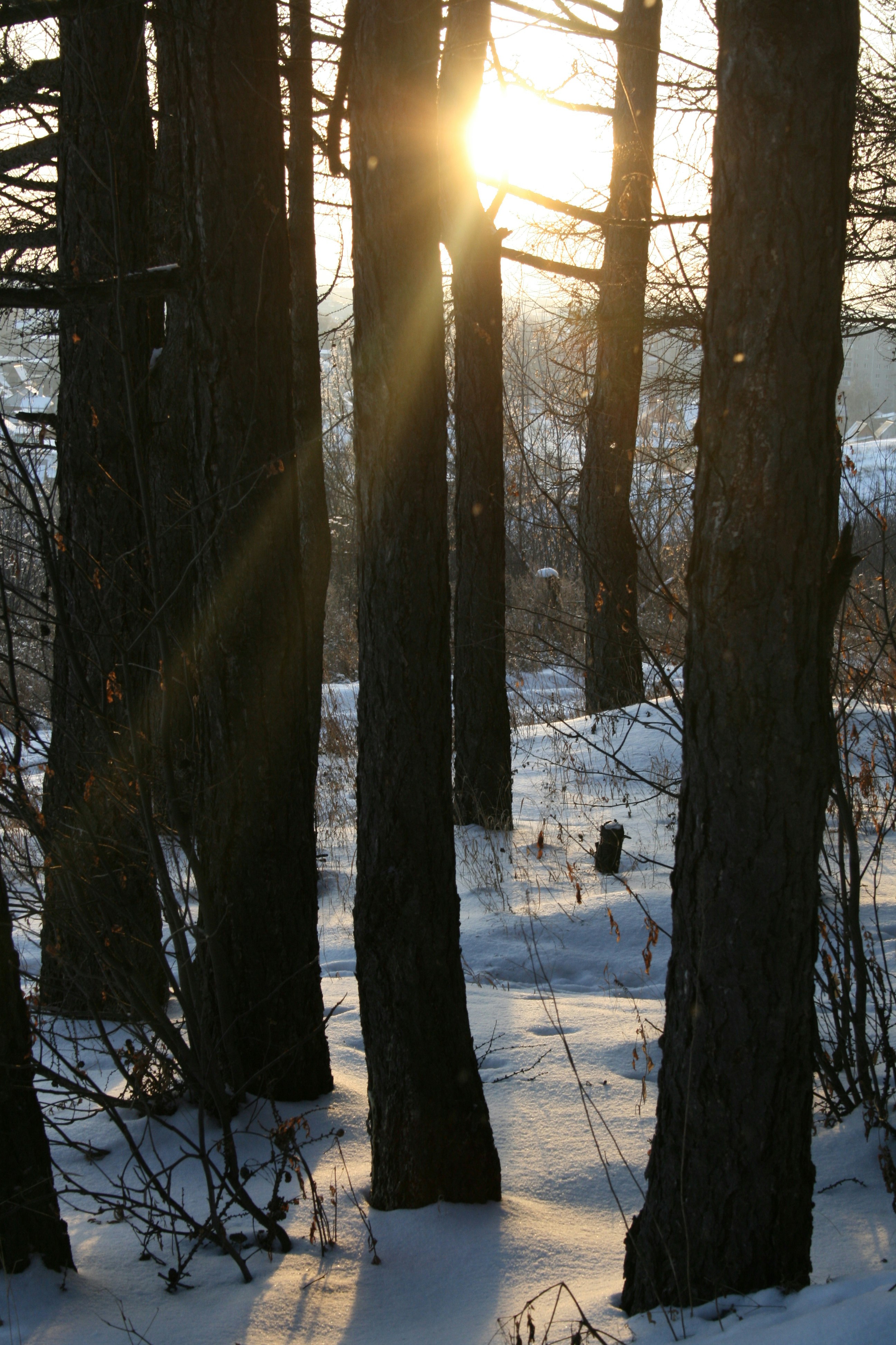 Photo by mitsuki_044