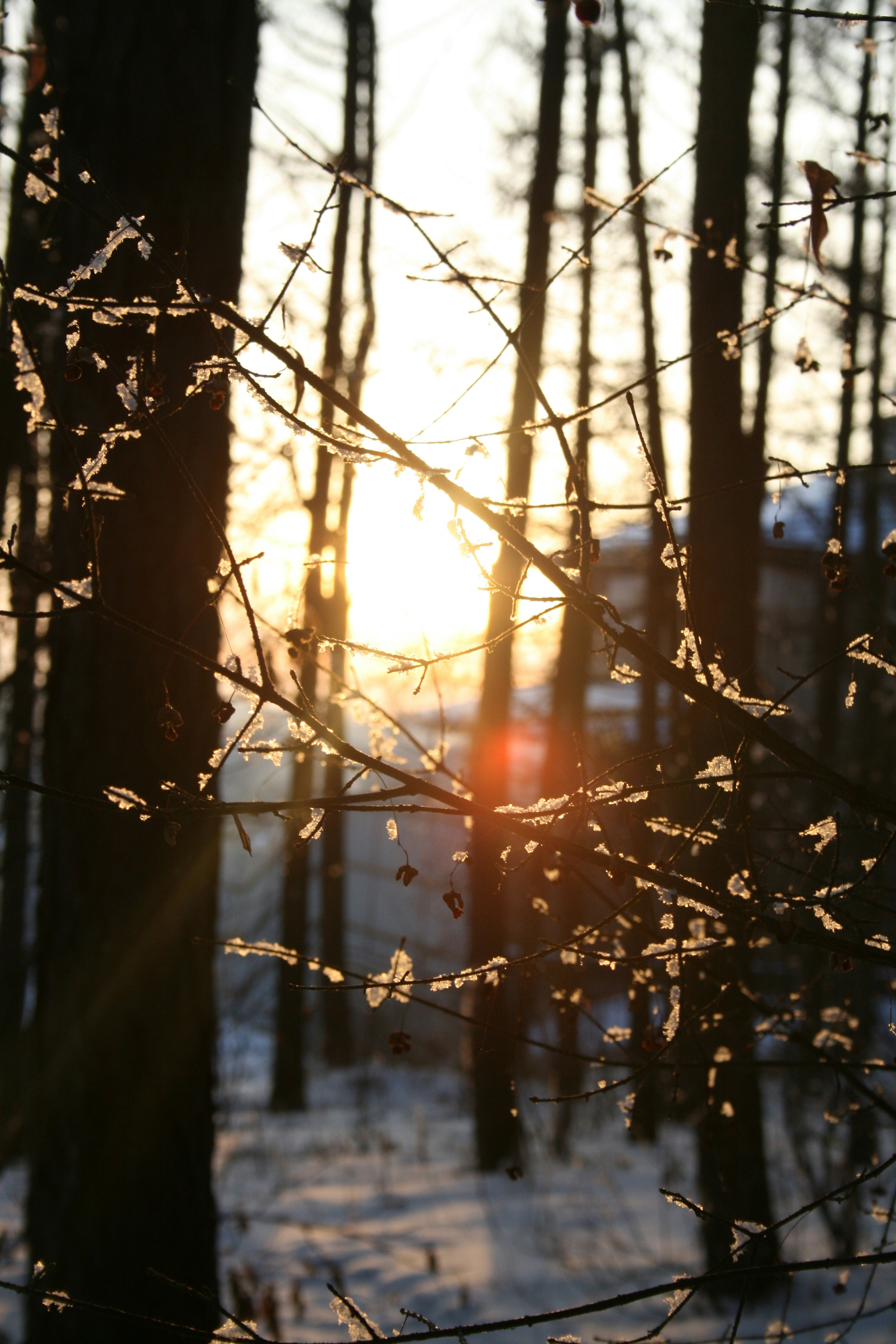 Photo by mitsuki_044