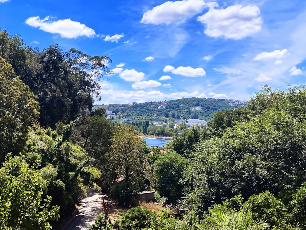 a scenic view of a river surrounded by trees