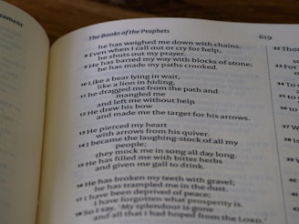 An open book with visible text, focusing on religious scripture from 'The Books of the Prophets'. The page number is 619, and the text comprises multiple verses expressing themes of struggle and hardship.