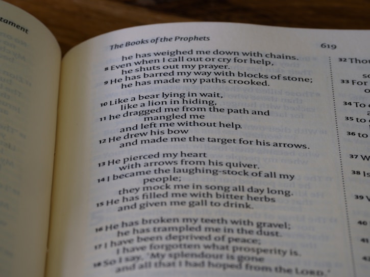 An open book with visible text, focusing on religious scripture from 'The Books of the Prophets'. The page number is 619, and the text comprises multiple verses expressing themes of struggle and hardship.