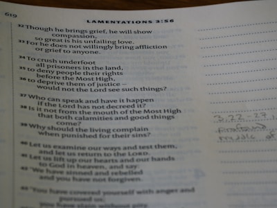 A close-up image of a Bible page, showing text from Lamentations 3:32-45. The text is in a poetic format with verses arranged in numbered lines. On the right side of the page, there are faint handwritten notes and lines for annotation. The page number 619 is visible in the top left corner.