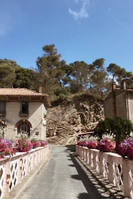 Pathway lined with flowers leading to a row of charming chalets