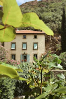 Sunlit rustic wooden house facade with pastel-colored shutters at Rancho Amandy.
