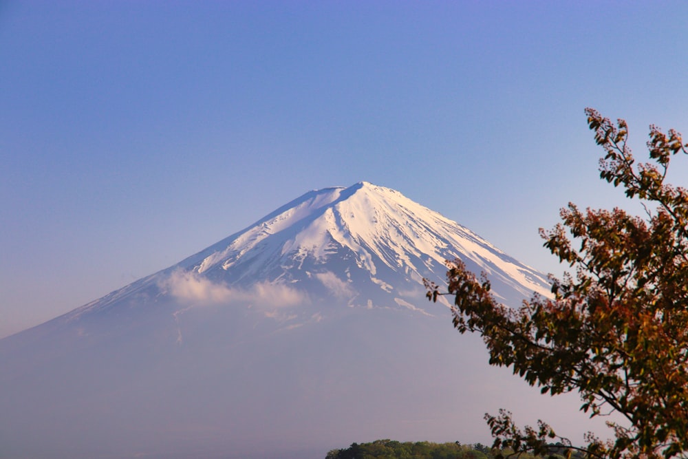 a snow covered mountain with trees in the foreground