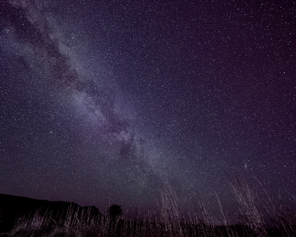 the night sky with stars and the milky