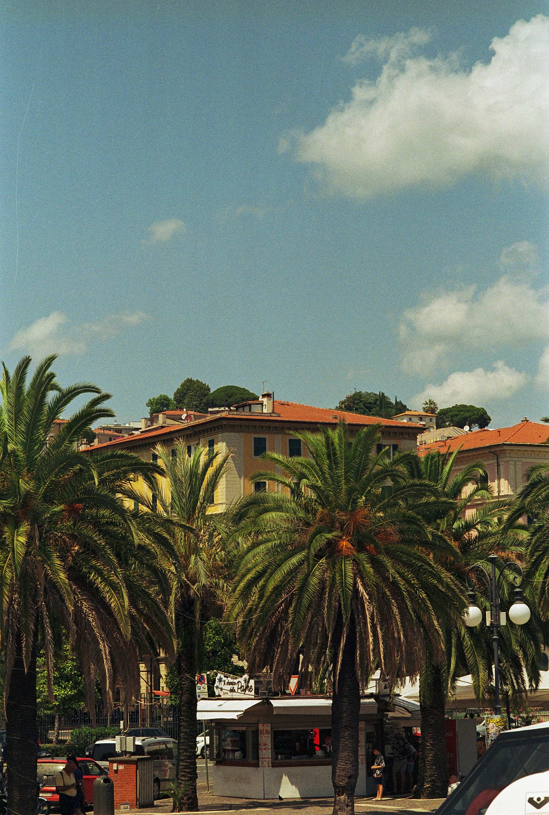a group of palm trees in front of a building