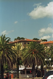 a group of palm trees in front of a building