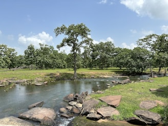 A serene landscape featuring a tranquil river flowing through lush greenery.