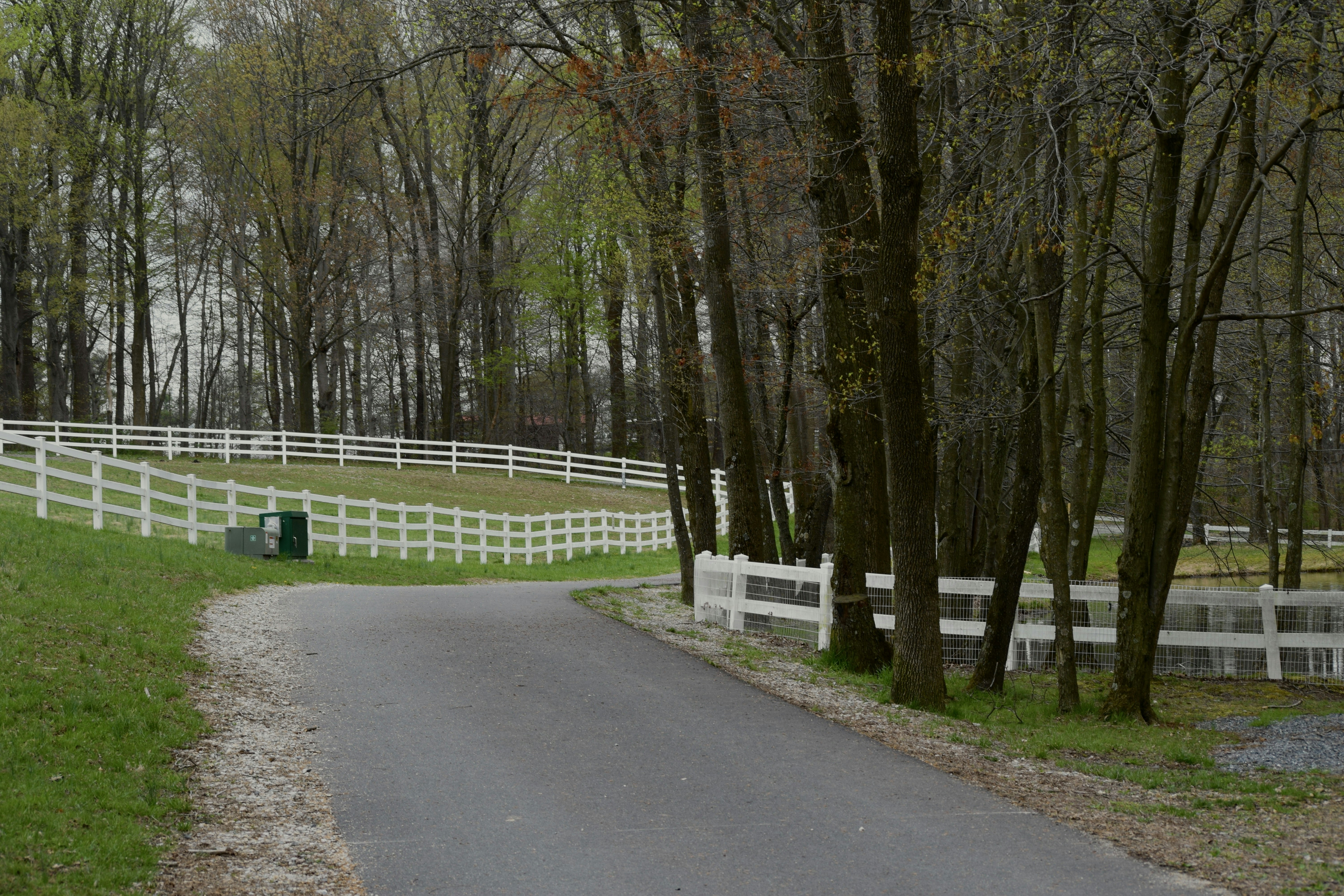 Beautiful paths. Shot from Carousel park in Delaware.