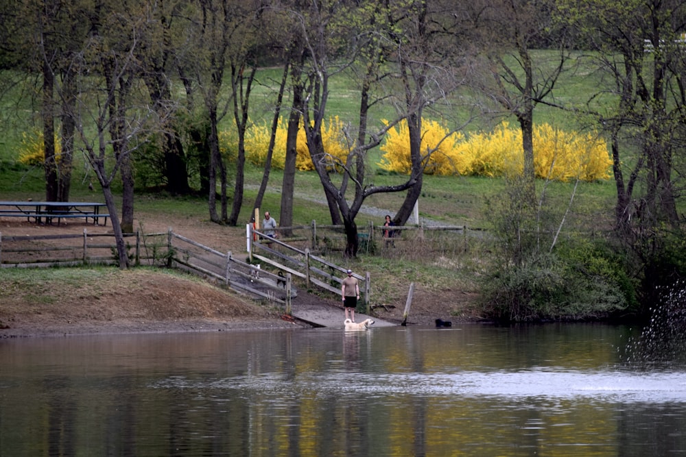 a pond with a wooden bridge over it