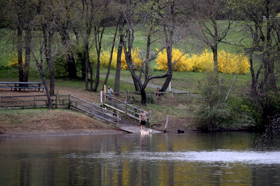 a pond with a wooden bridge over it, Picturesque. Shot from Carousel park in Delaware.