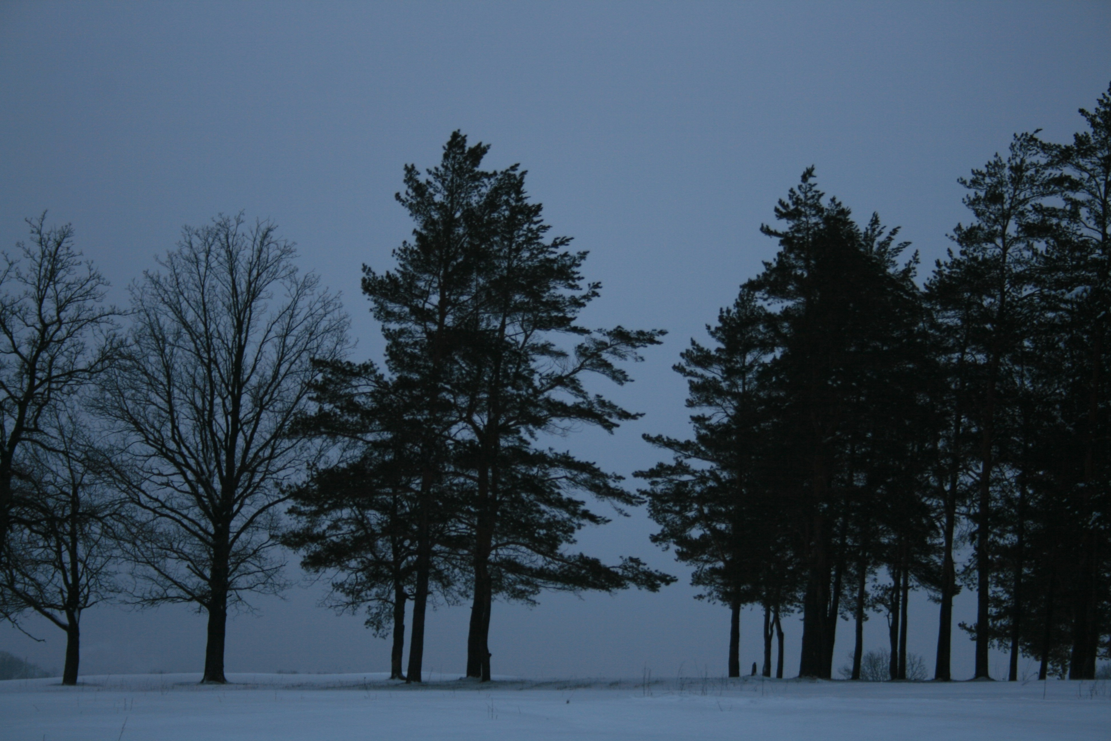 Photo by mitsuki_044