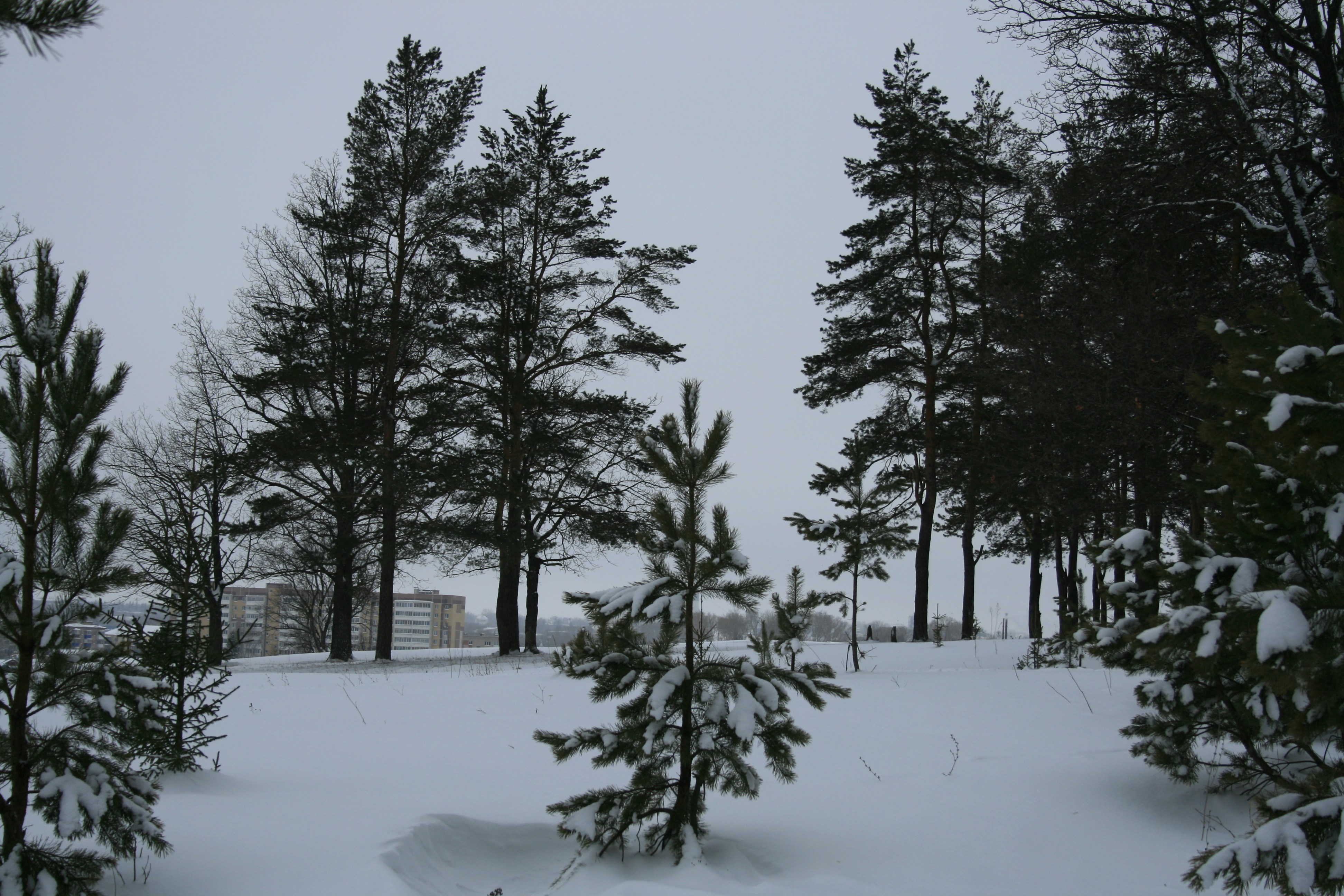 Photo by mitsuki_044