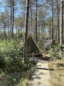 A small wooden cabin with a triangular roof is nestled among tall pine trees. A narrow wooden walkway leads to the entrance of the cabin. In front of the cabin, there's a small outdoor seating area with two chairs and a table. The surrounding forest is lush with green foliage and sunlight filters softly through the tree canopy.