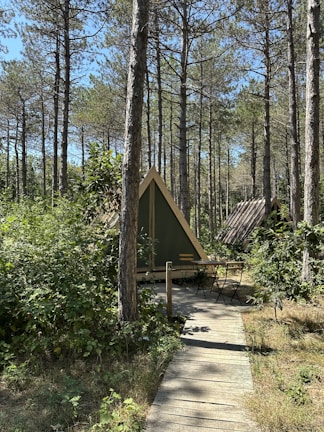 A small wooden cabin with a triangular roof is nestled among tall pine trees. A narrow wooden walkway leads to the entrance of the cabin. In front of the cabin, there's a small outdoor seating area with two chairs and a table. The surrounding forest is lush with green foliage and sunlight filters softly through the tree canopy.