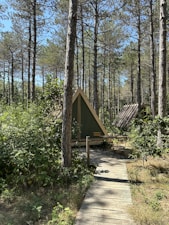 A small wooden cabin with a triangular roof is nestled among tall pine trees. A narrow wooden walkway leads to the entrance of the cabin. In front of the cabin, there's a small outdoor seating area with two chairs and a table. The surrounding forest is lush with green foliage and sunlight filters softly through the tree canopy.