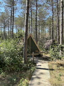 A small wooden cabin with a triangular roof is nestled among tall pine trees. A narrow wooden walkway leads to the entrance of the cabin. In front of the cabin, there's a small outdoor seating area with two chairs and a table. The surrounding forest is lush with green foliage and sunlight filters softly through the tree canopy.