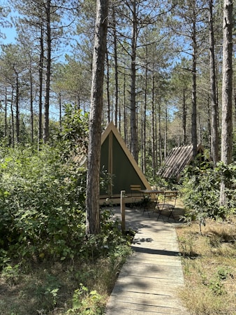 The Importance of Cabin Associations at Priest Lake