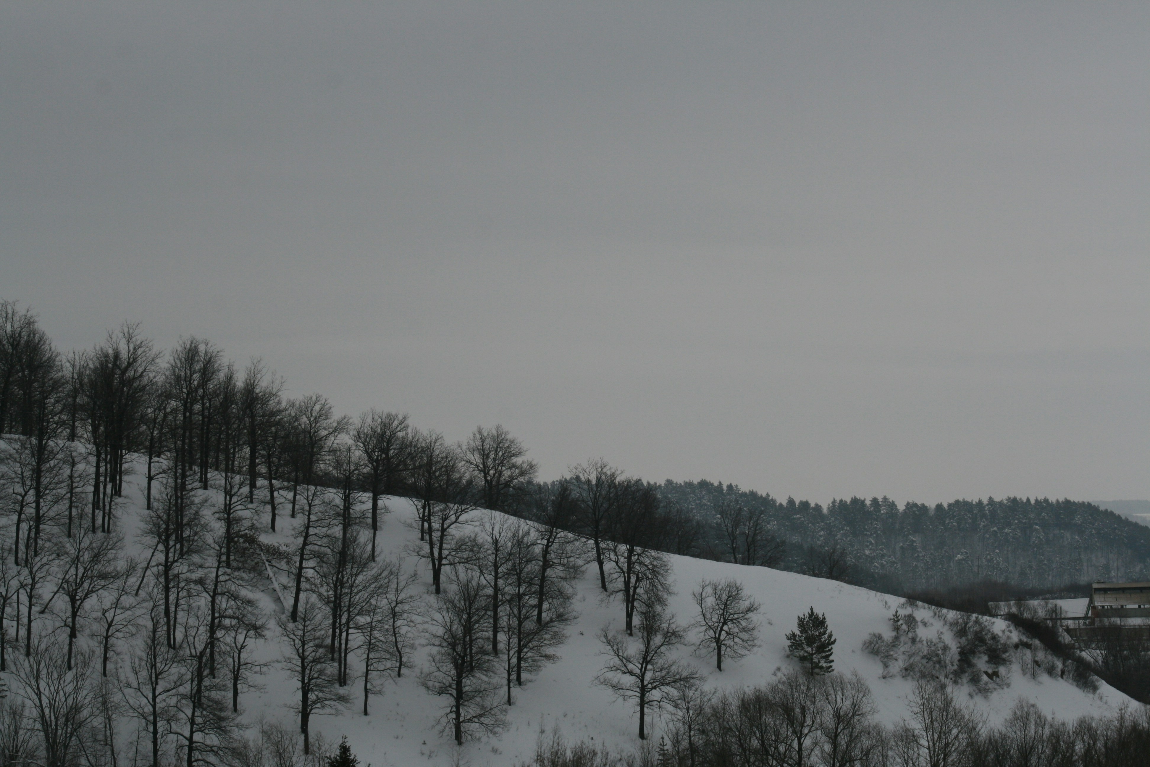 Photo by mitsuki_044