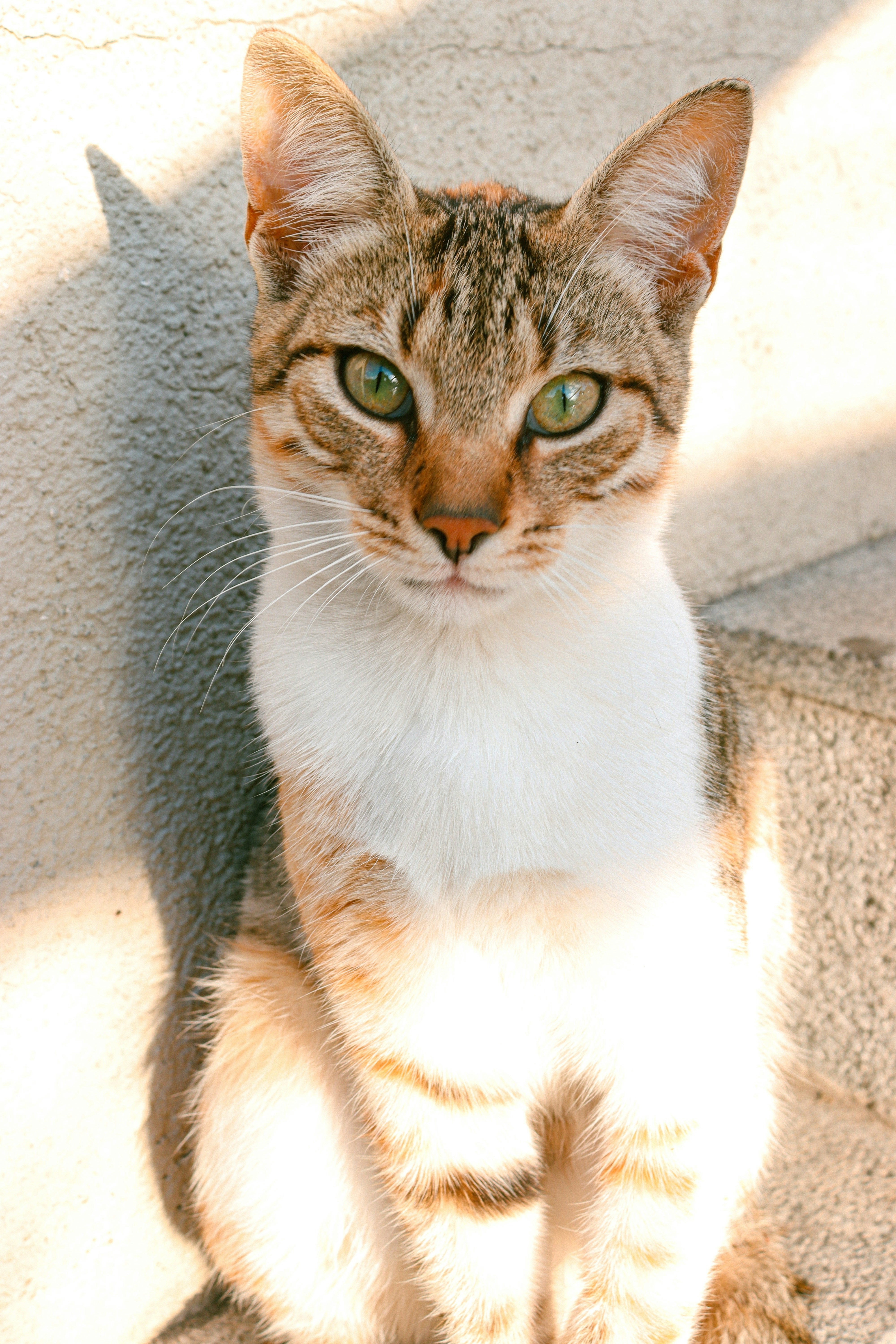 Photo by idilcelikler