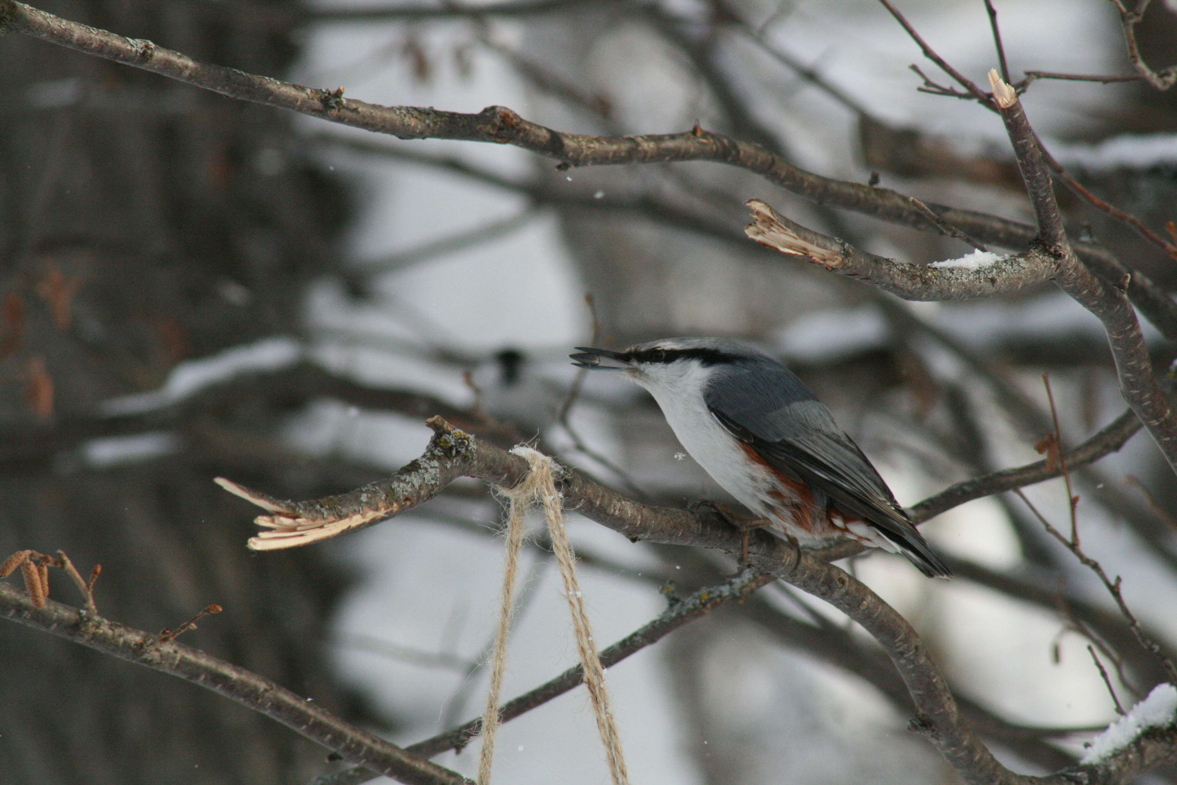 Photo by mitsuki_044