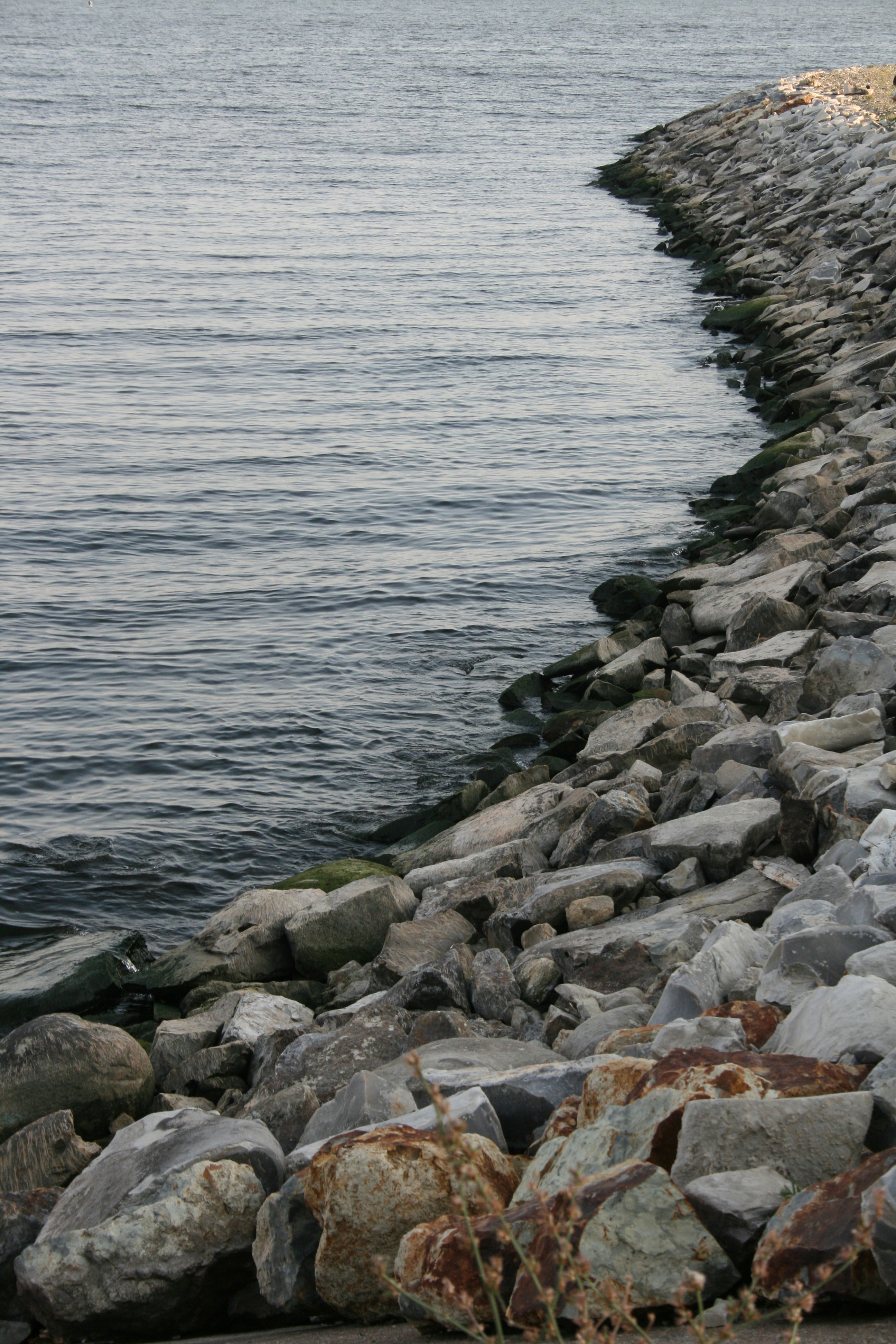 Photo by mitsuki_044