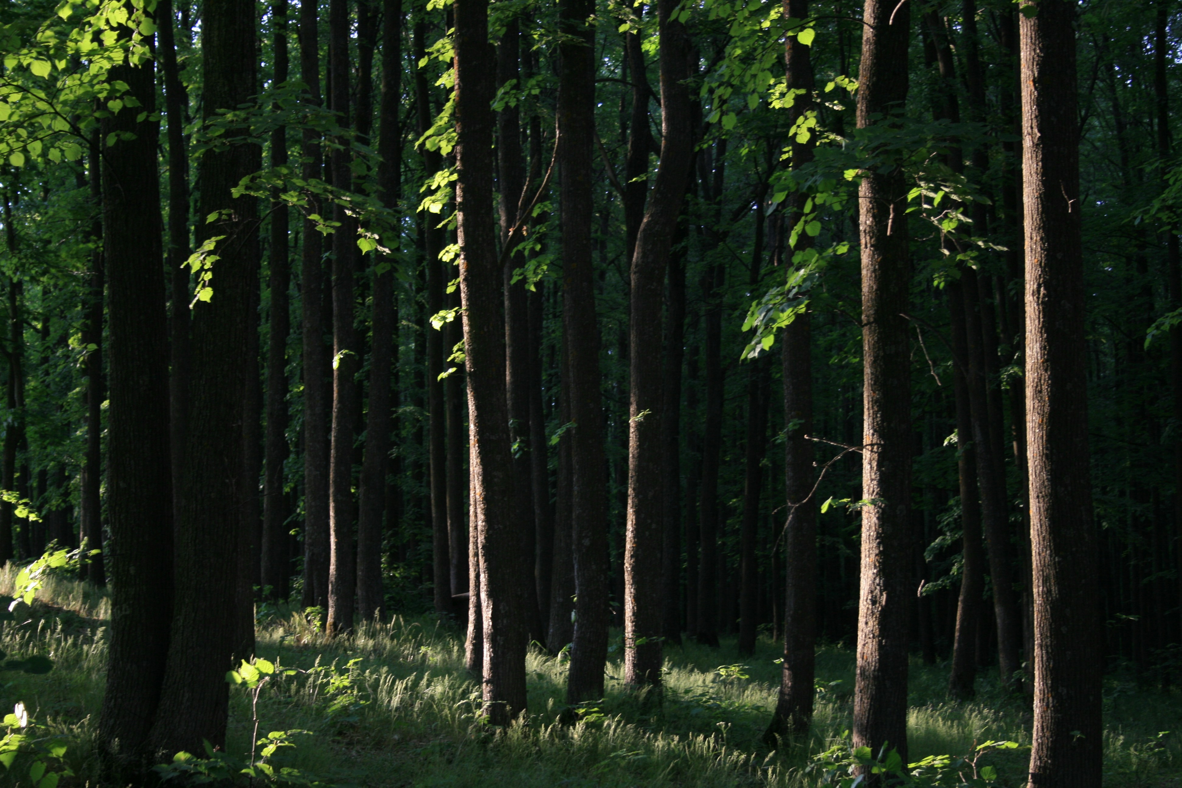 Photo by mitsuki_044