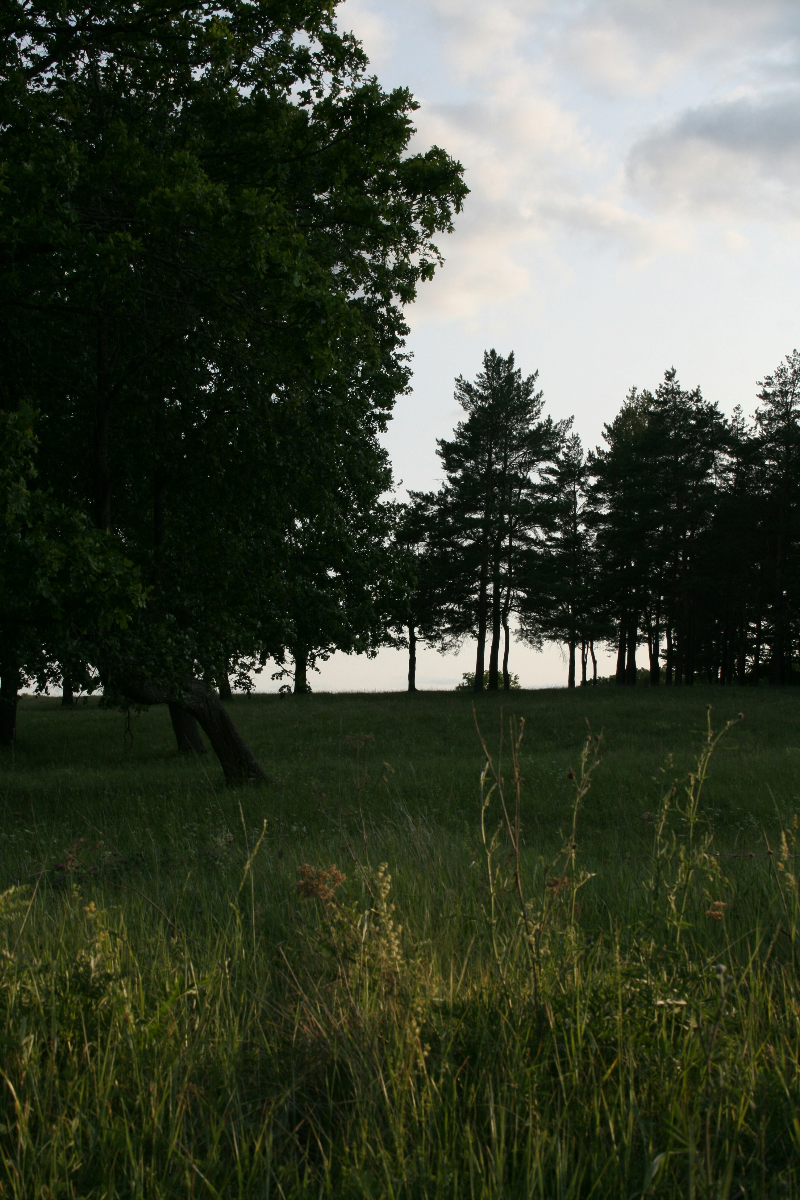 Photo by mitsuki_044