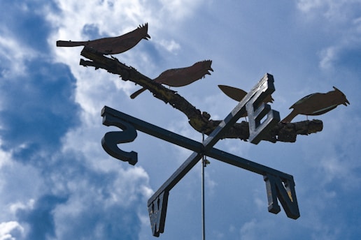 A weather vane features four bird silhouettes perched on a branch, set against a backdrop of partly cloudy blue sky. The cardinal direction letters N, E, S, and W are clearly visible.