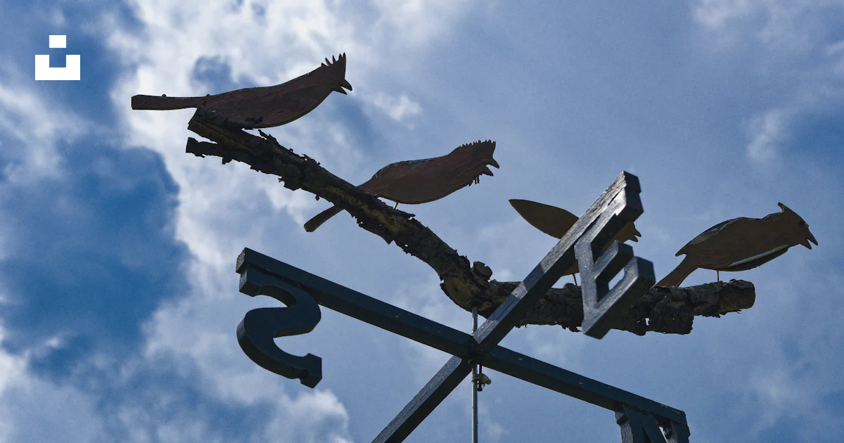 A street sign with birds on top of it photo – Free Rockton Image on ...