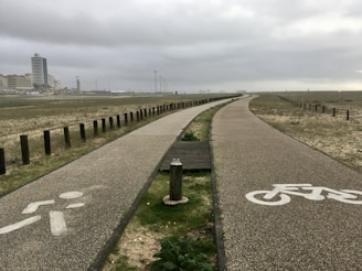 A graphic showing adaptive skill development pathways.