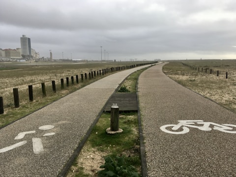 A dual pathway designed for pedestrians and cyclists is depicted, with one path marked by a pedestrian icon and the other by a bicycle icon. Wooden posts line each side, leading towards a distant urban skyline with tall buildings under an overcast sky.