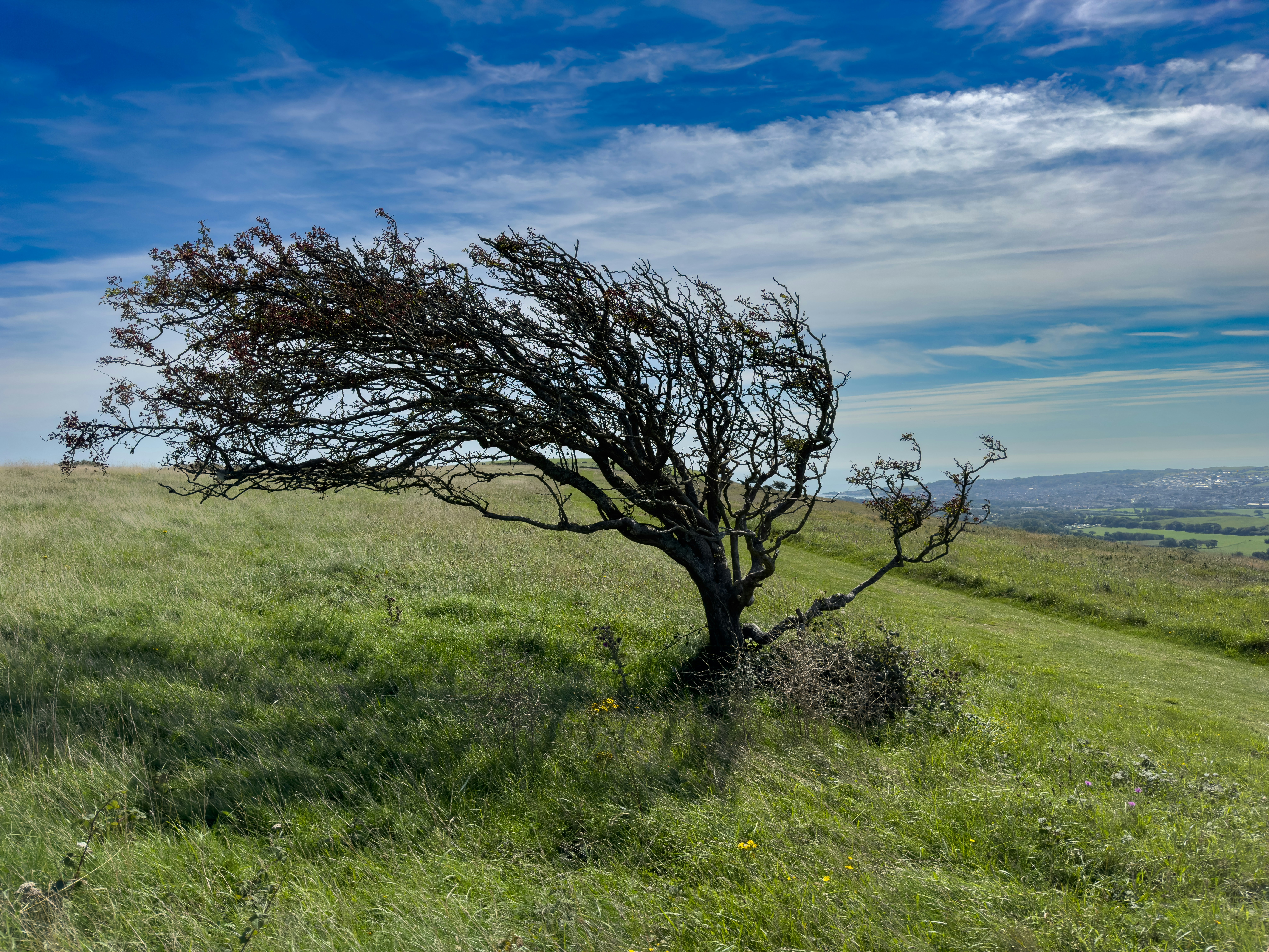 Photo by bill_eccles