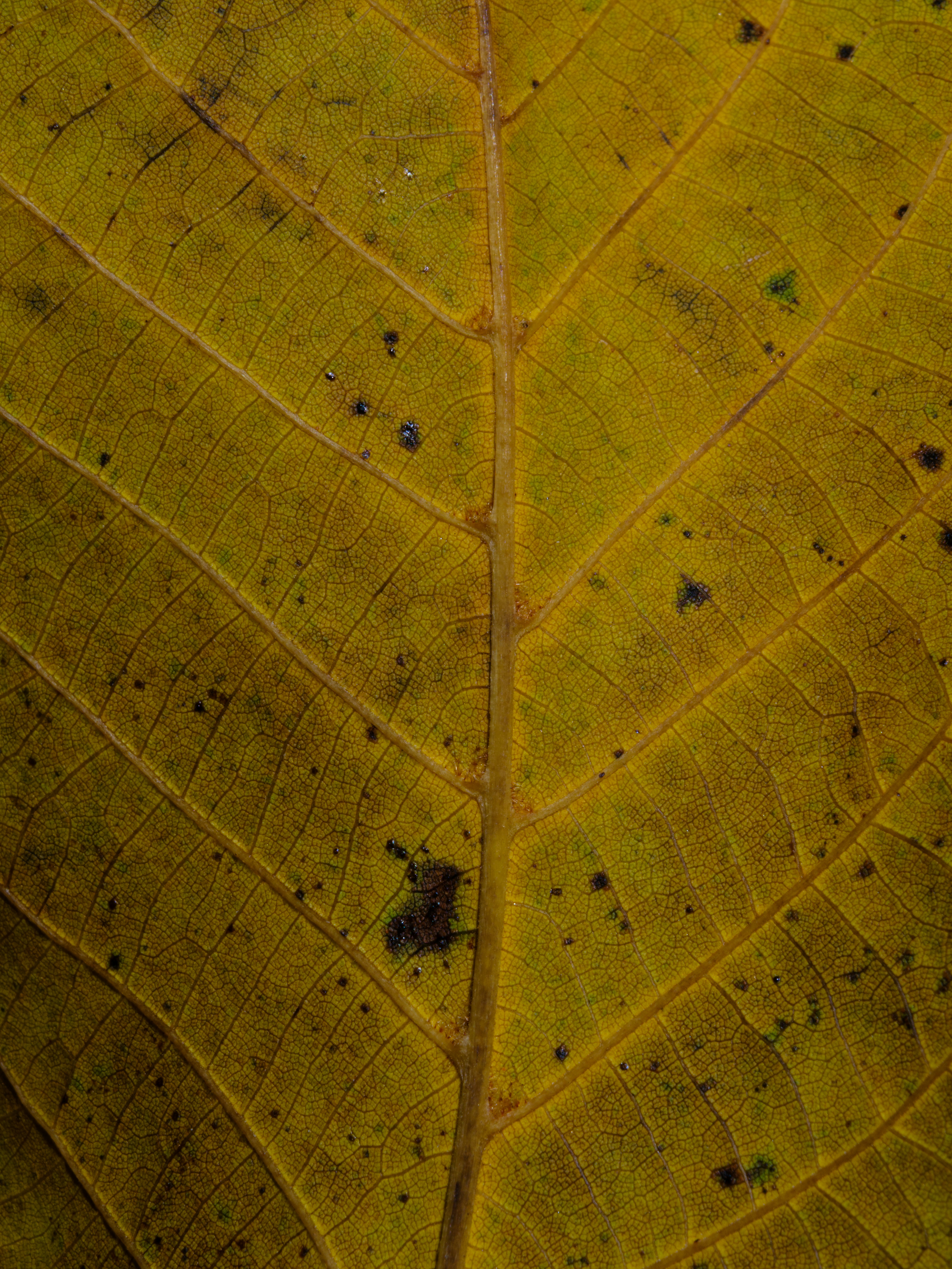 Photo by enginakyurt